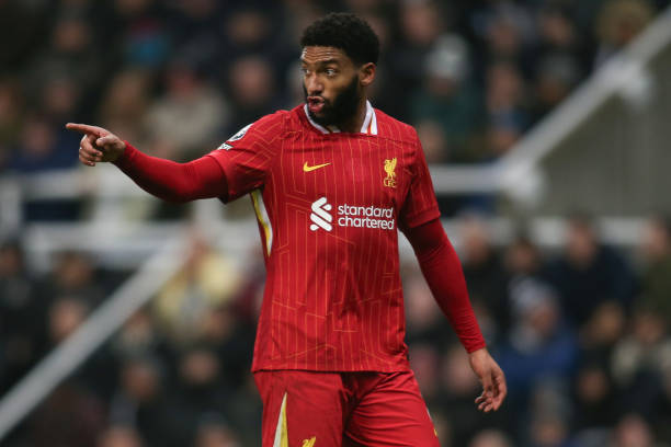 尽管湖人队 尽管湖人队