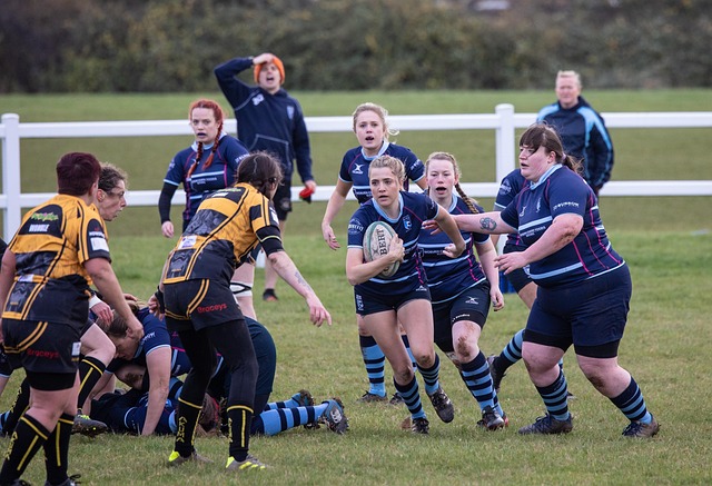 重要看点之 重要看点之